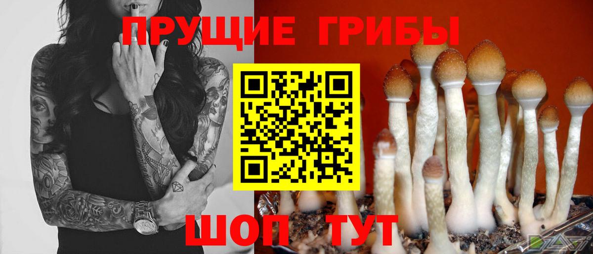 Галлюциногенные грибы Magic Shrooms  Вход с VPN  цены   Семилуки 